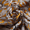 Шелк-штапель 069-17415 серый принтованный